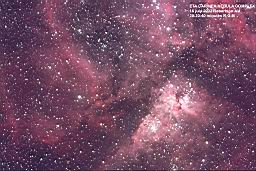 ETA CARINEA copy.jpg